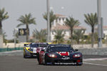 Chevrolet Corvette Z06 Race Scene Picture